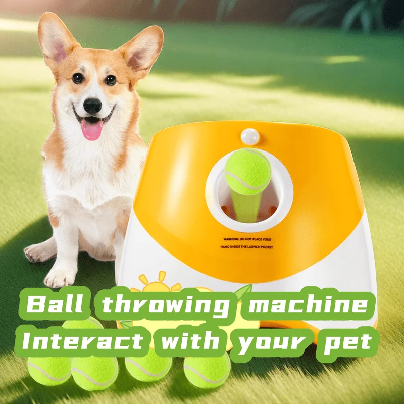 Köpek Fırlatıcı Otomatik Köpek - Catapult Launcher Toy incelemesi ve fiyatı